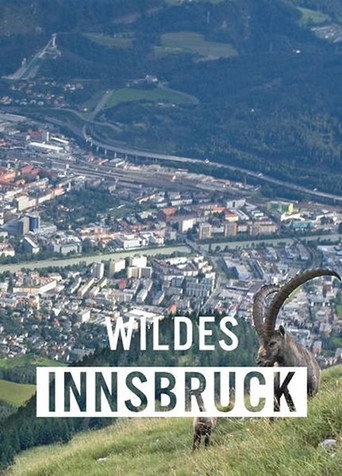 Movie poster for Wildes Innsbruck: Zwischen Moderne und alpiner Wildnis (2021)