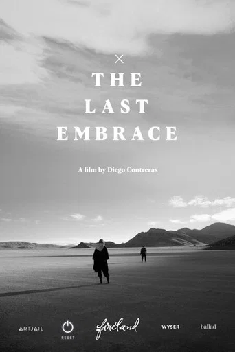 Movie poster for The Last Embrace