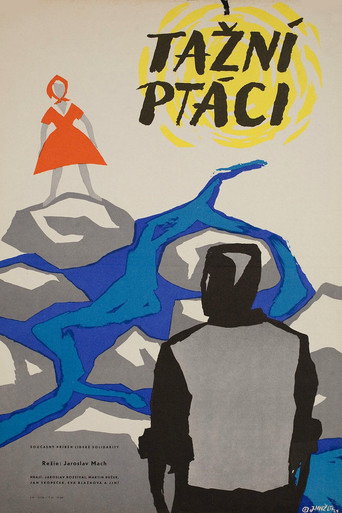 Movie poster for Tažní ptáci (1961)