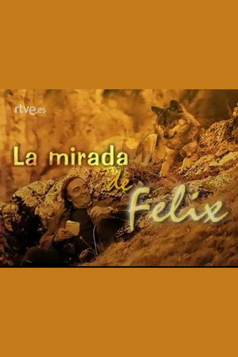 Movie poster for La mirada de Félix (1999)
