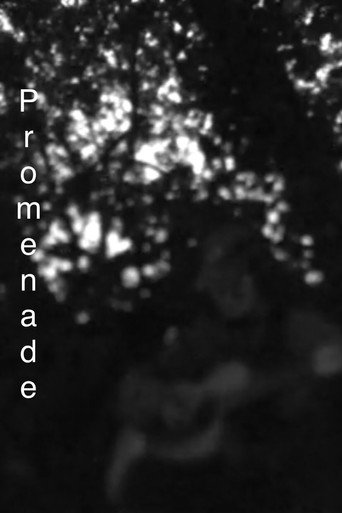 Movie poster for Promenade (2022)
