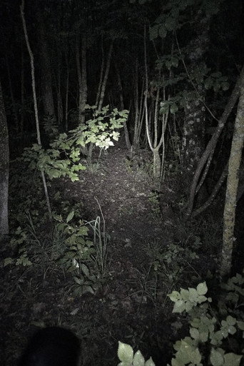 Movie poster for Untitled Found Footage Project