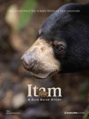 Movie poster for Itam: A Sun Bear Story (2026)