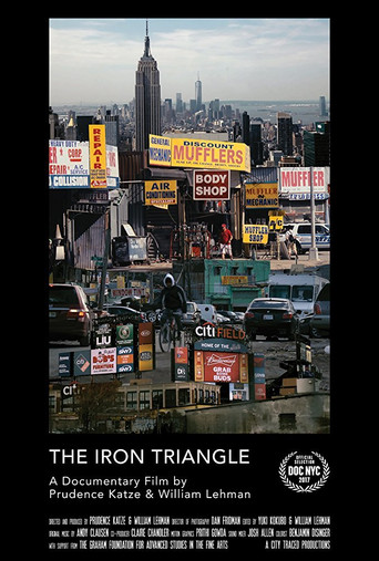 The Iron Triangle: Willets Point and the Remaking of New York poster