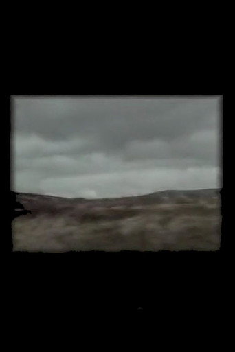 Movie poster for Stravaig / Errance (1999)