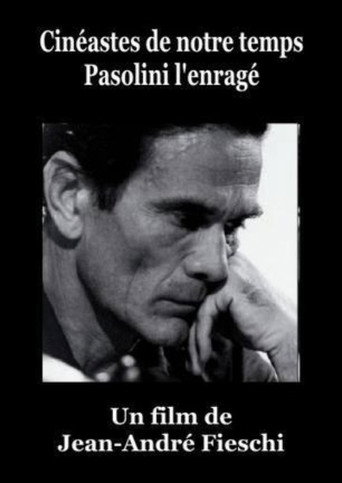 Movie poster for Pasolini l'Enragé (1966)