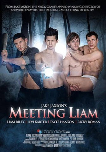 Movie poster for Meeting Liam (2016)