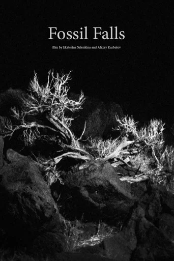 Movie poster for Fossil Falls (2019)