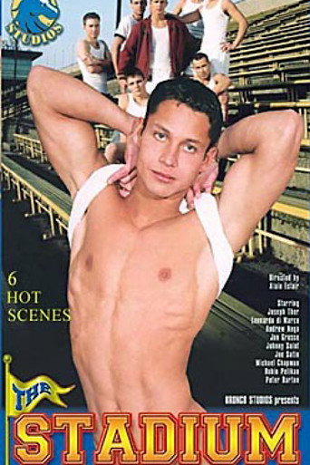 Movie poster for The Stadium (2003)