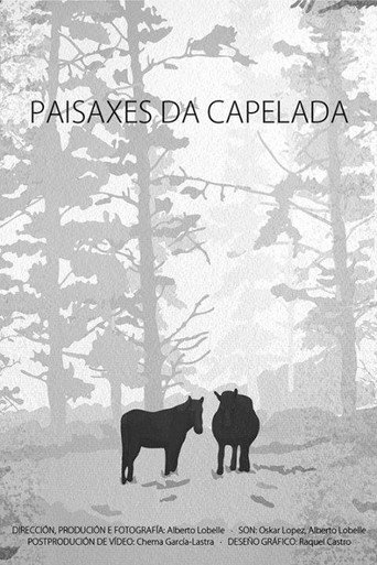 Movie poster for Landscapes of A Capelada (2017)