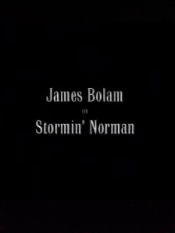 Stormin' Norman poster
