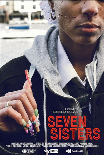 Movie poster for Seven Sisters (2024)
