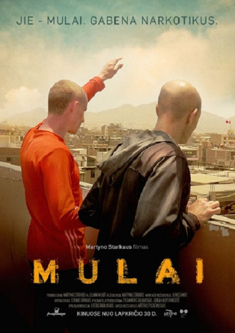 Movie poster for The Mules (2018)