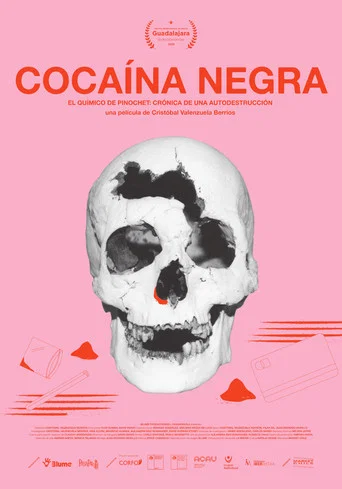 Movie poster for Black Cocaine (2026)