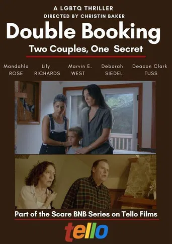Double Booking poster