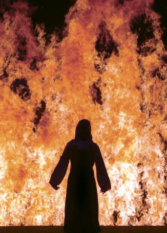 Movie poster for Fire Woman (2005)