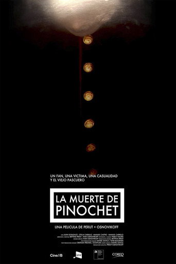 Movie poster for The Death of Pinochet (2011)