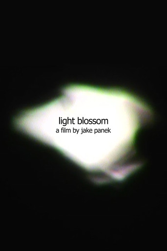 Movie poster for light blossom (2025)