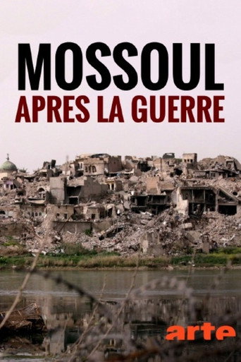 Movie poster for Mossoul, après la guerre (2019)