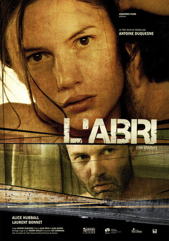 Movie poster for The Shelter (2009)