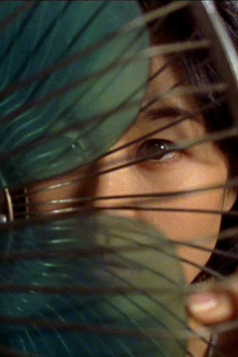 Movie poster for Dance begins (2003)