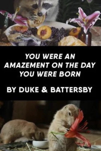 Movie poster for You Were an Amazement on the Day You Were Born (2019)