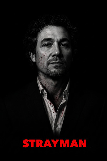 Movie poster for Strayman (2011)