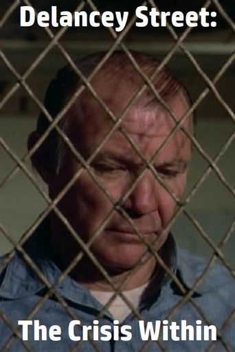 Delancey Street: The Crisis Within poster