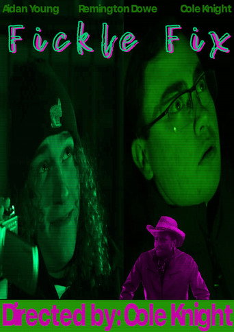 Movie poster for Fickle Fix