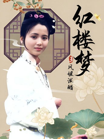 红楼梦第三部：凤姐泼醋 poster