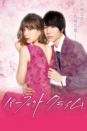 Perfect Crime poster