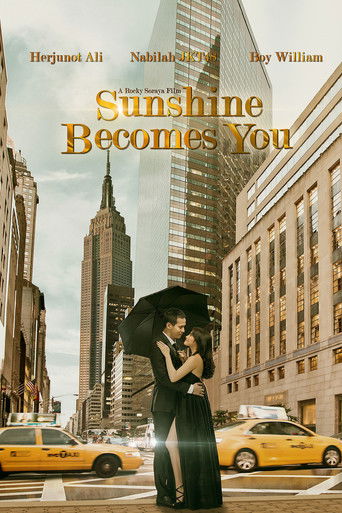 Sunshine Becomes You poster