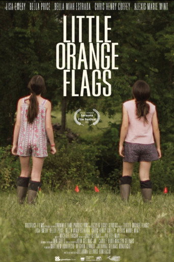 Movie poster for Little Orange Flags (2024)
