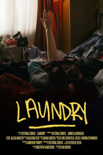Laundry poster