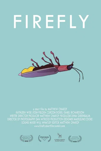 Movie poster for Firefly (2013)