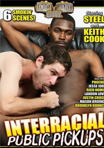Movie poster for Interracial Public Pickups (2015)