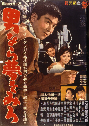 Movie poster for Dream Young Man's Dream (1959)