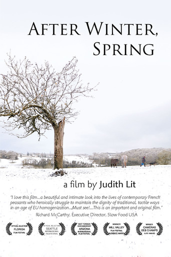 Movie poster for After Winter, Spring (2012)