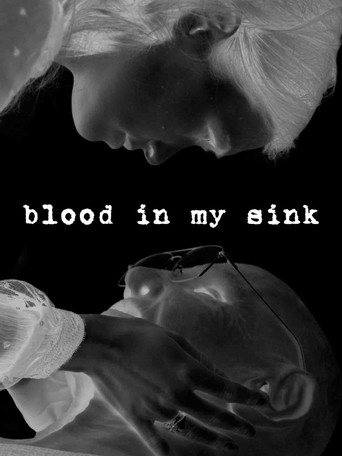 Movie poster for Blood in my Sink