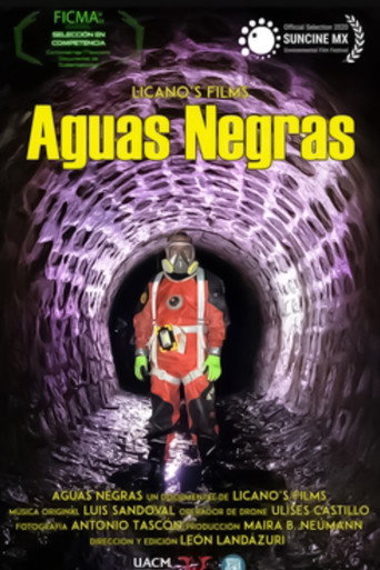 Movie poster for Aguas Negras (2020)