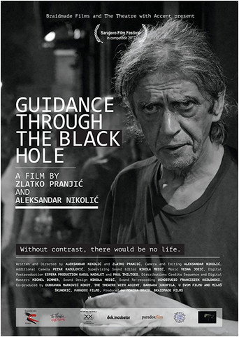 Movie poster for Guidance Through the Black Hole (2017)