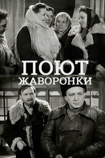 Поют жаворонки poster