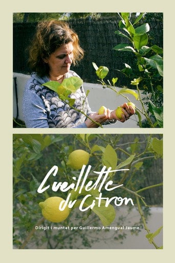 Movie poster for Cueillette du citron (2024)