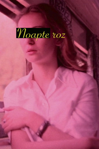 Movie poster for Pink Night (1980)