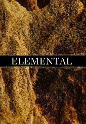 Movie poster for Elemental (2015)