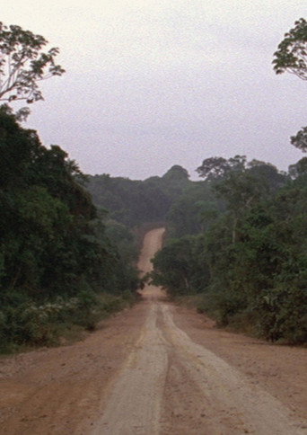 Movie poster for Travelling Amazonia (2006)