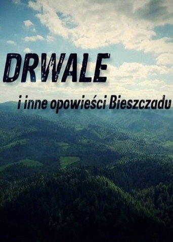 Series poster for Drwale i inne opowieści Bieszczadu (2016)