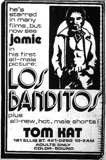 Movie poster for Los Banditos (1974)