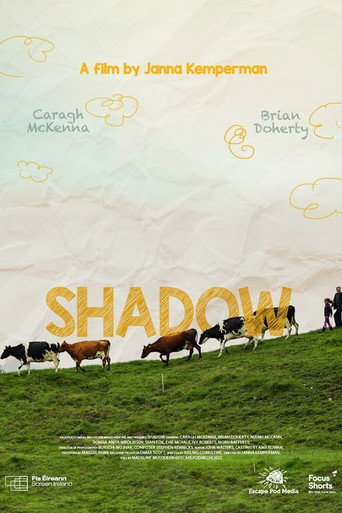 Movie poster for Shadow (2022)