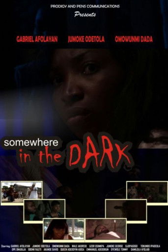Somewhere in the Dark poster